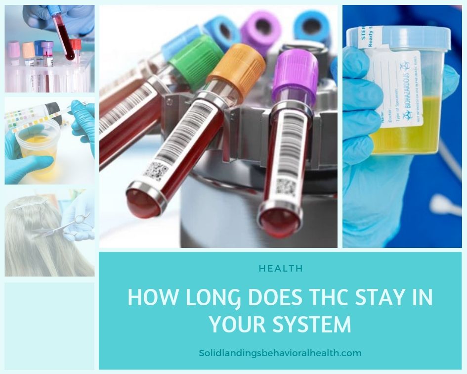 How Long Does THC Stay in Your System? A Comprehensive Guide.