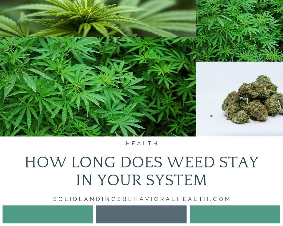 How Long Does Weed Stay In Your System? Discover the Facts.