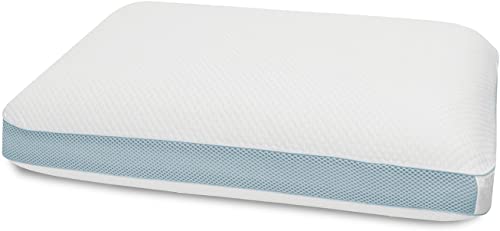 Performance Extreme Pillow from BioPedic
