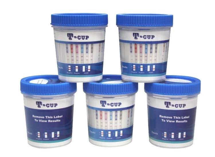 Best 10-Panel Drug Testing Cups