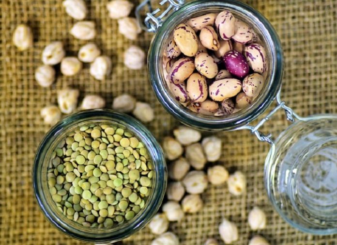14 Legume & Pulse: 25 Anti-Cancer Foods of All Time
